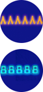 6
